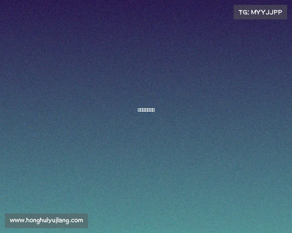 日本高中生大赛